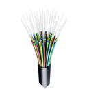 Fibre Optic Icon